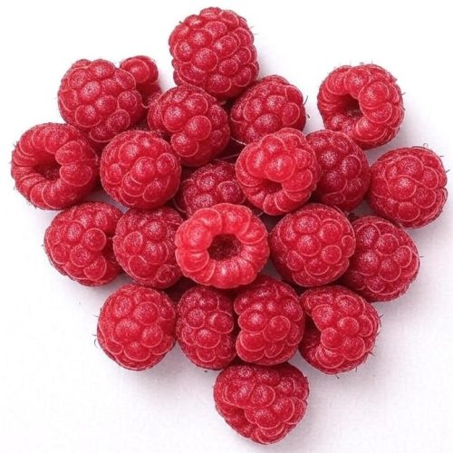 100ca32b-9998-4a5d-81f1-ec1a9ec5060e